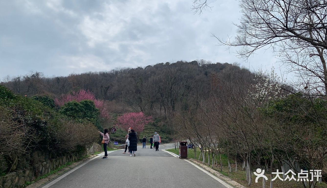 江宁方山