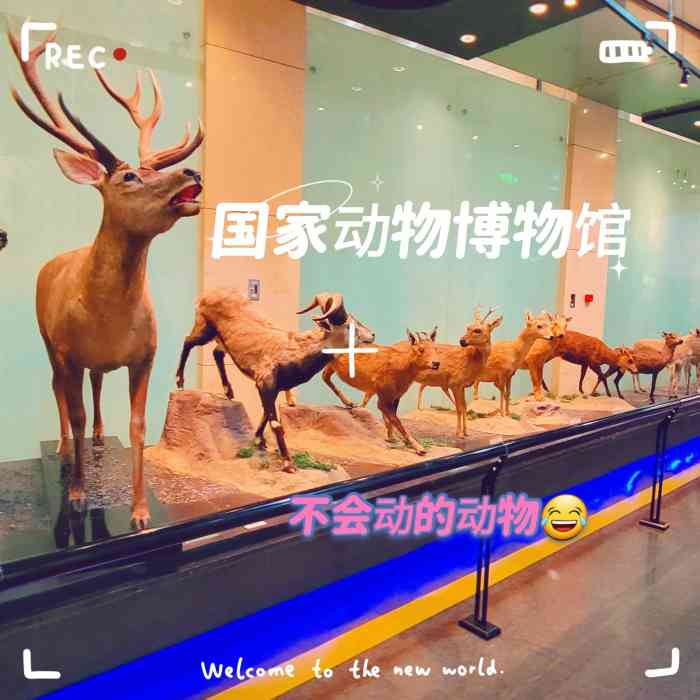 国家动物博物馆