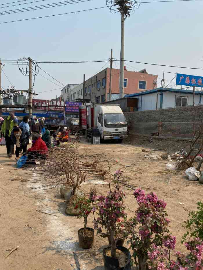 营城子农贸大市场-"营城子大集之农贸篇.早上6点半营.