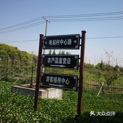 农场·电站村鲜花农场 老板娘是个90后,小花农场的名字是她女儿取的
