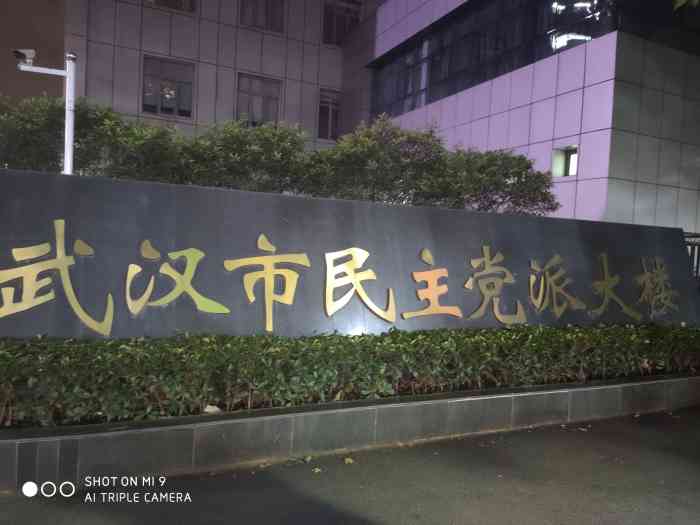 武汉市民主党派大楼"楼的环境不错,就是统战部的食堂很差,还不.