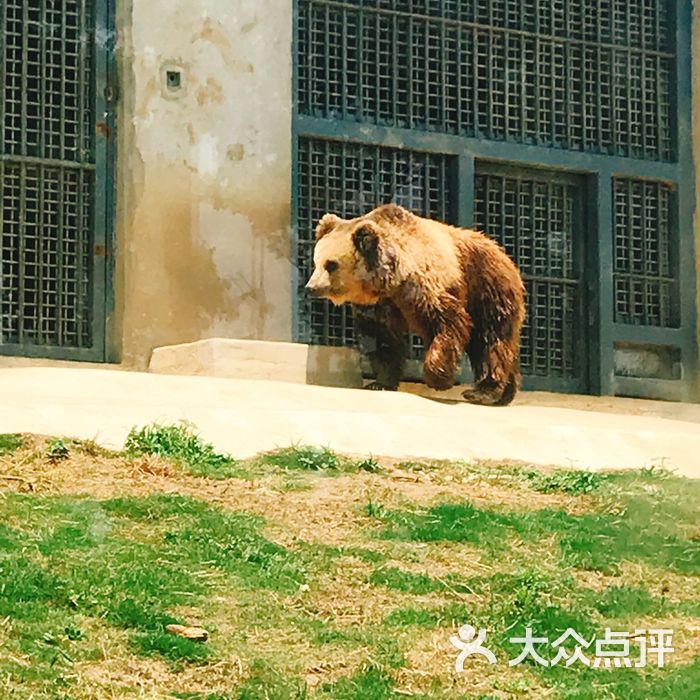 上方山森林动物世界