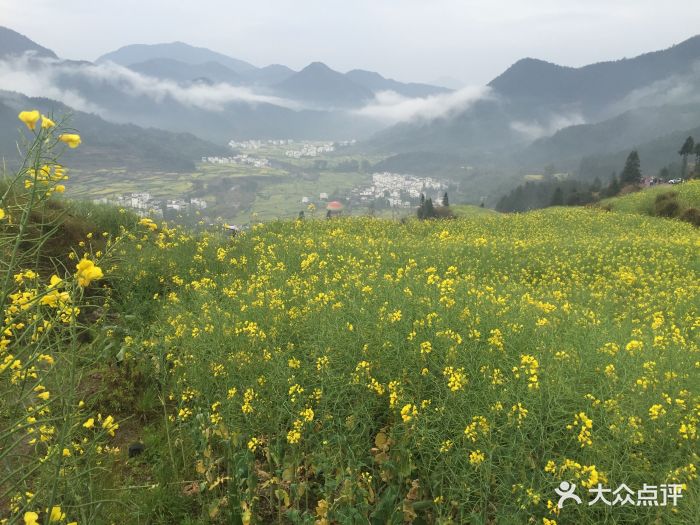 江岭景区图片