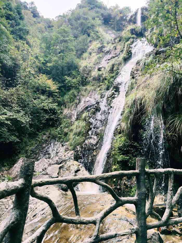 箬寮原始林-"浙南箬寮原始林景区以原生态的自然风光.