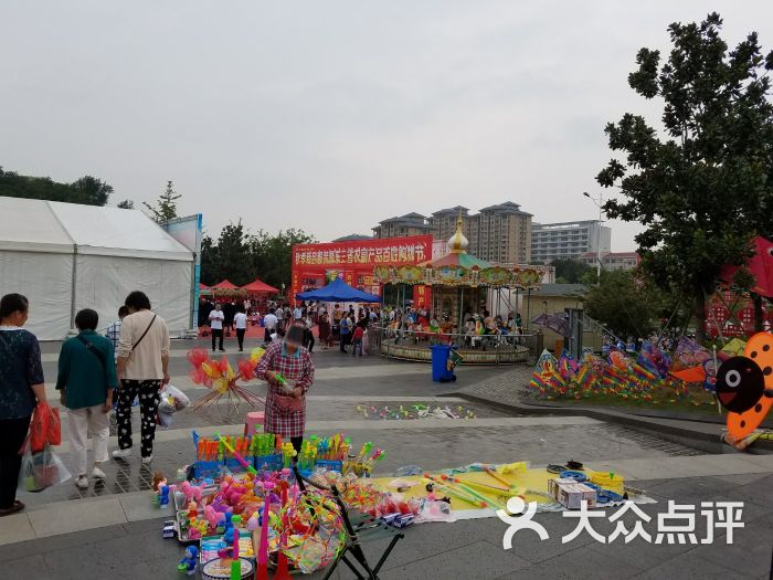 镇江花鸟市场图片 - 第3张