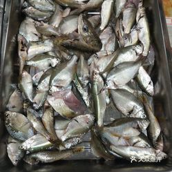 鱼图片大全真实图 lq0z1pj2HTDo8OD5b8HJ837uAP9AKuo7I-tD8mZyPrSIwwaR8s_WYruHjDqJ5KVGuzFvxlbkWx5uwqY2qcjixFEuLYk00OmSS1IdNpm8K8twhW7bzr4O88Ivp4FuDG0SfCF2ubeXzk49OsGrXt_KYDCngOyCwZK-s3fqawWswzk.jpg