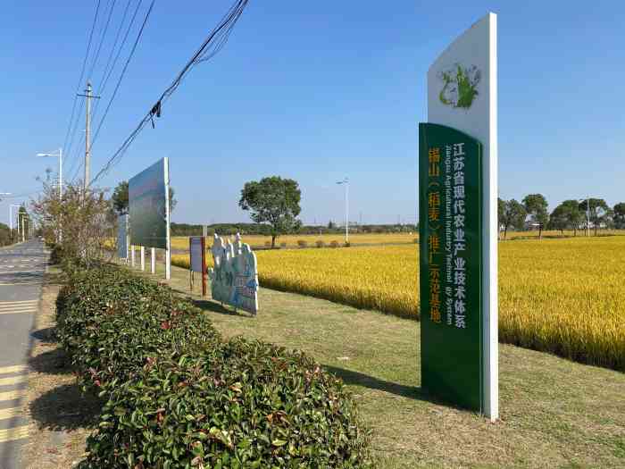 农业综合开发无锡锡山太湖水稻示范园