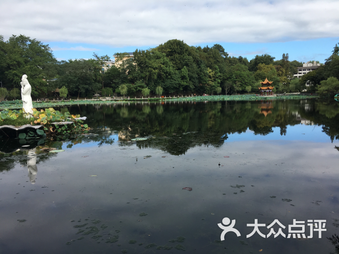 莲花塘市委宿舍图片 第5张