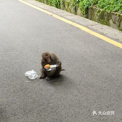 有哪些好玩的地方适合带孩子去 lrxdDY0vgrALE_hAYAuAGfk4CjAaBVxdiCRXw_E6_hOz6VNsSE_8X_d692RdxvK5uzFvxlbkWx5uwqY2qcjixFEuLYk00OmSS1IdNpm8K8twhW7bzr4O88Ivp4FuDG0SfCF2ubeXzk49OsGrXt_KYDCngOyCwZK-s3fqawWswzk.jpg