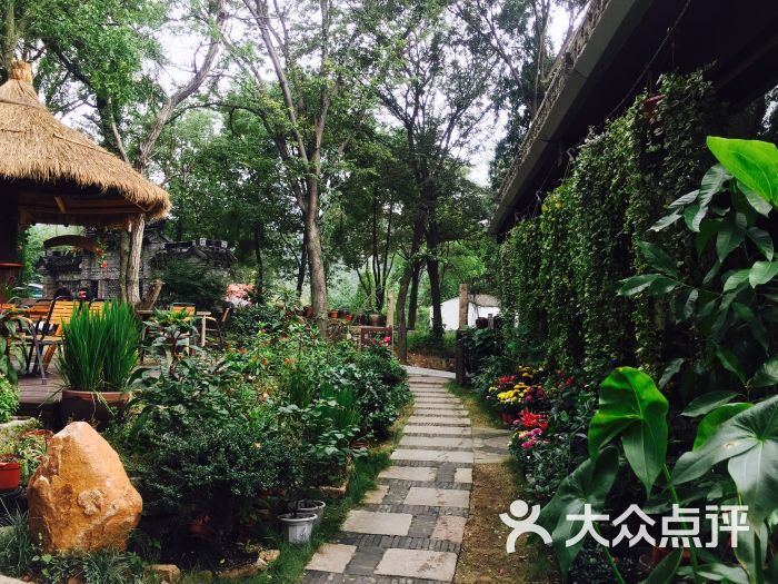 我在张桥等你图片 - 第9张