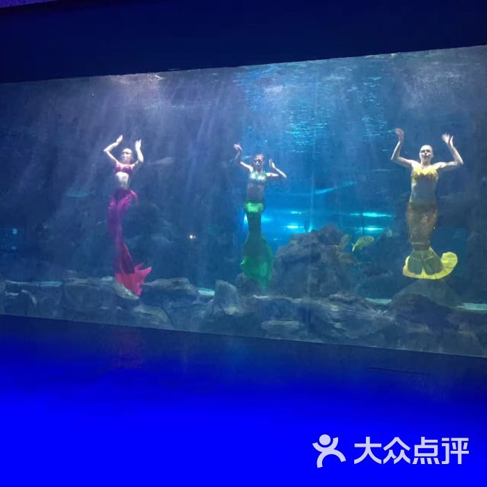 长春中泰海洋世界图片 - 第4张