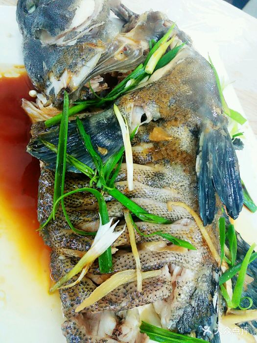 覃记海鲜美食餐厅石斑鱼图片 - 第1619张