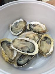 蒸蚝呷生蚝馆电话,地址,价格,营业时间(图)-泉州