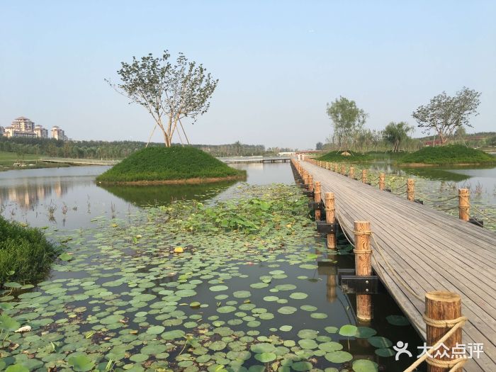 马家湾湿地公园图片