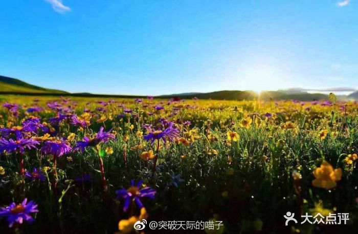 Círculo del Lago Qinghai Hu ✈️ Foro China, Taiwan y Mongolia