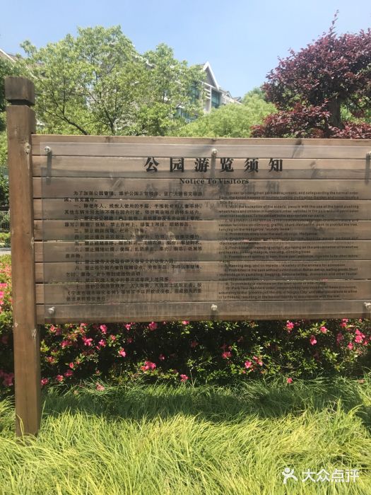 姚江公园图片