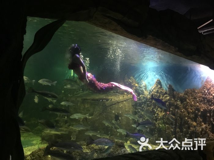 嘉兴海底世界图片 - 第65张