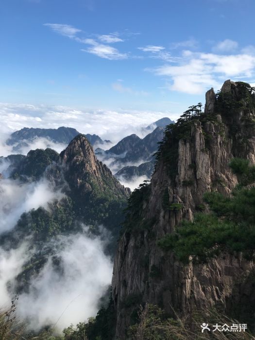 黄山风景区-图片-黄山景点/周边游-大众点评网