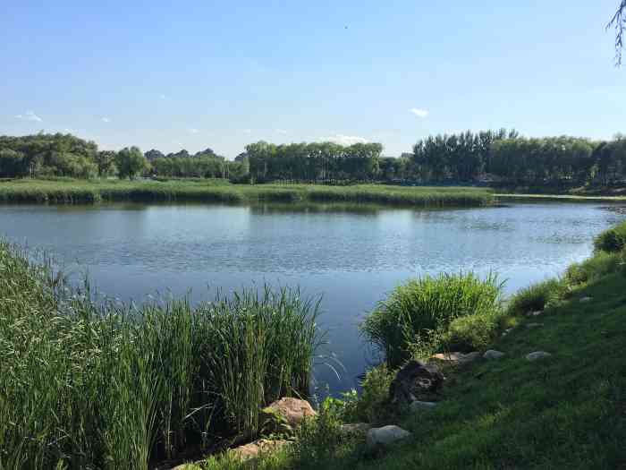 北海路湿地公园-"长春伊通河湿地园伊通河满语是"波涛