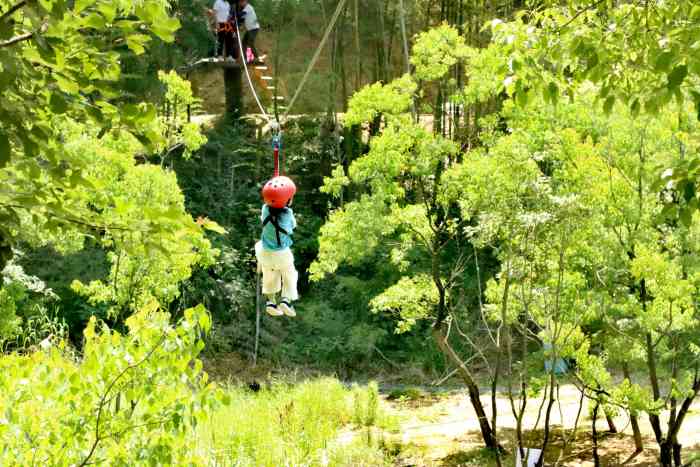 九龙湖精灵谷丛林穿越-"集运动,休闲,旅游,度假于一体