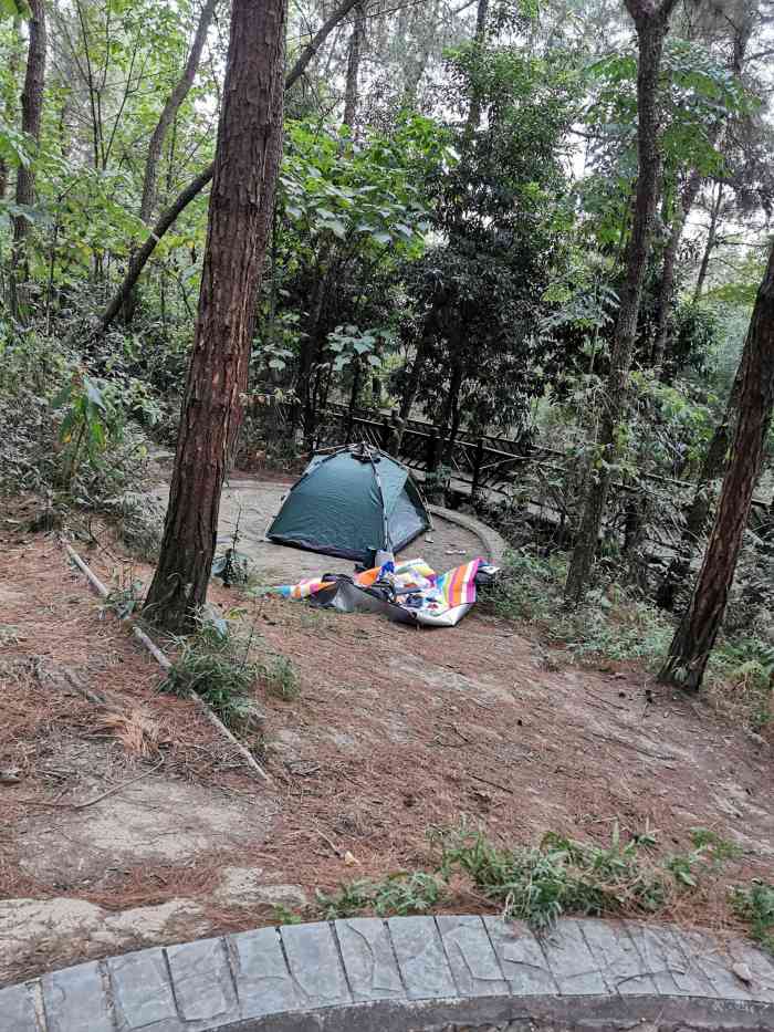 铁山坪草野星空露营基地-"云层太厚的山城,纵使晴日,.