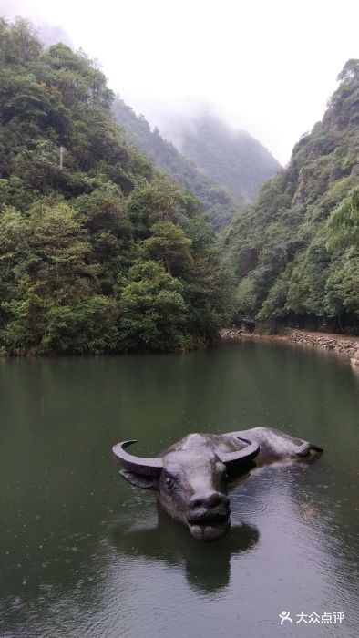 牛头山国家森林公园-牛头山图片-武义县周边游-大众点评网