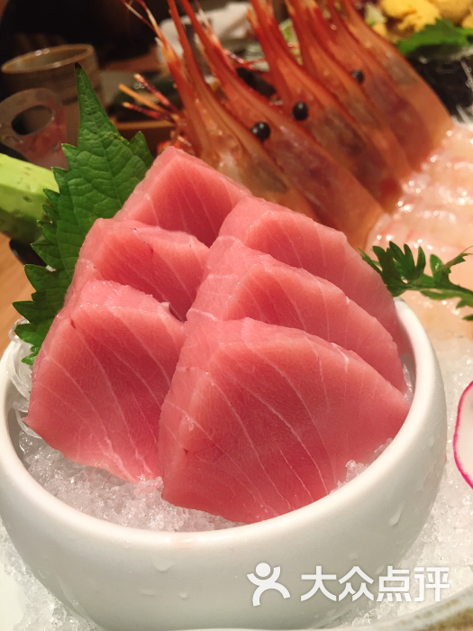 金枪鱼中脂