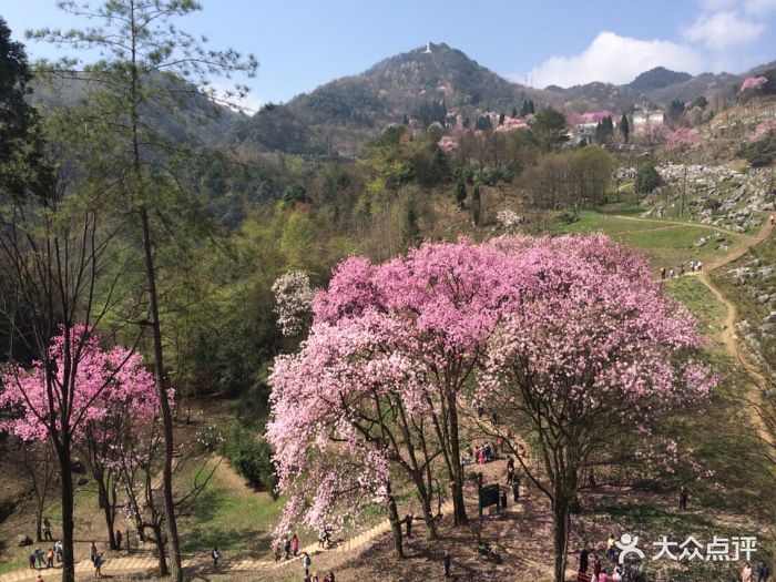 药王谷景区-图片-北川羌族自治县周边游-大众点评网