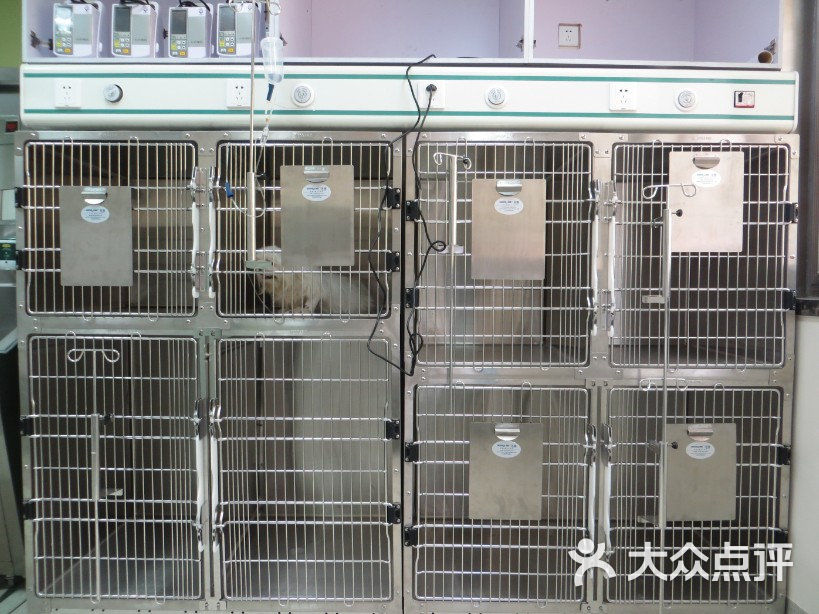 宠福鑫动物医院(中西结合国际诊疗中心)-10.小