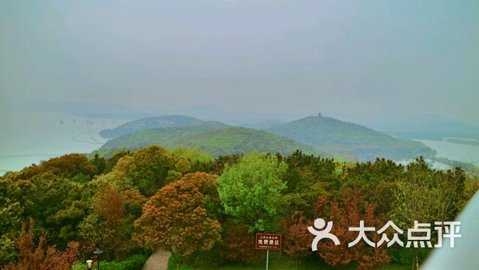 宝界山林公园图片 第312张