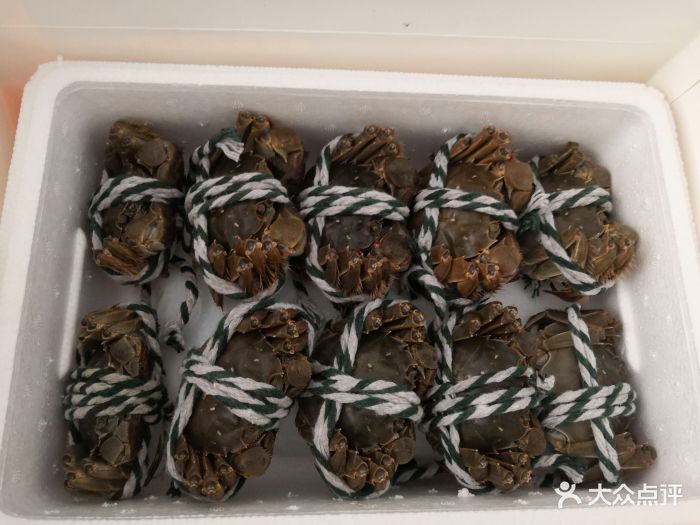 盘锦辽a河蟹图片 第2张