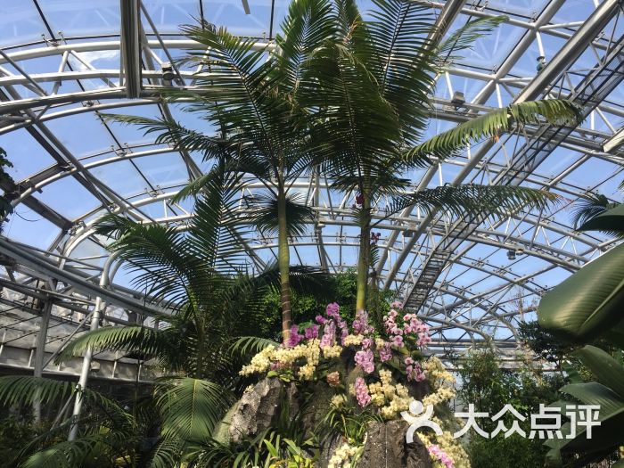 中国植物馆热带植物展览温室馆图片 - 第35张