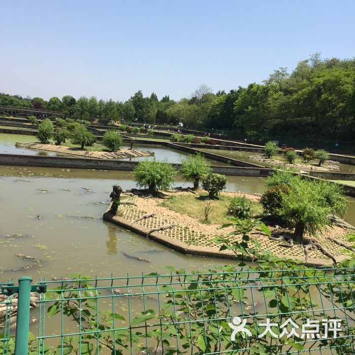 安徽扬子鳄国家自然保护区