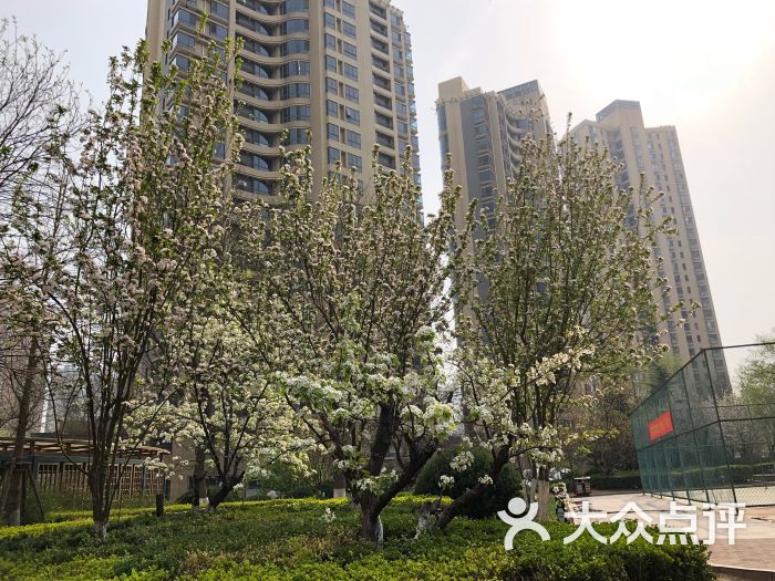 金领花园-图片-天津生活服务-大众点评网