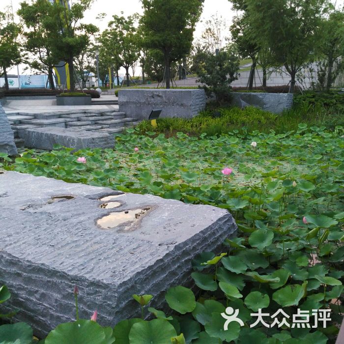 新龙湖公园-图片-常州周边游-大众点评网