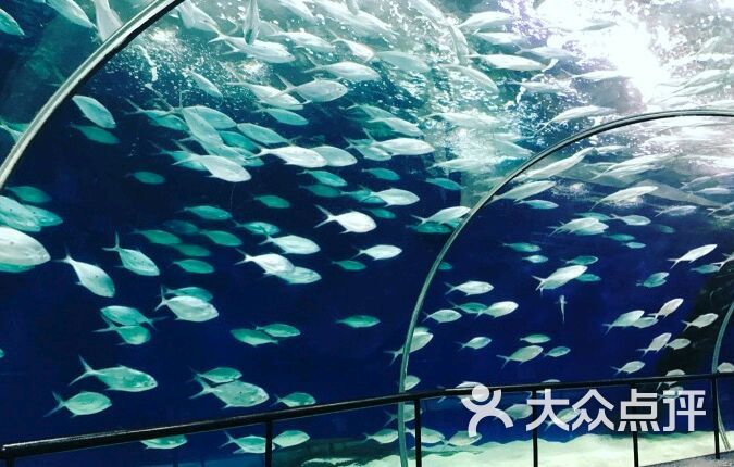 上海海洋水族馆餐厅(水族馆餐厅店)的点评