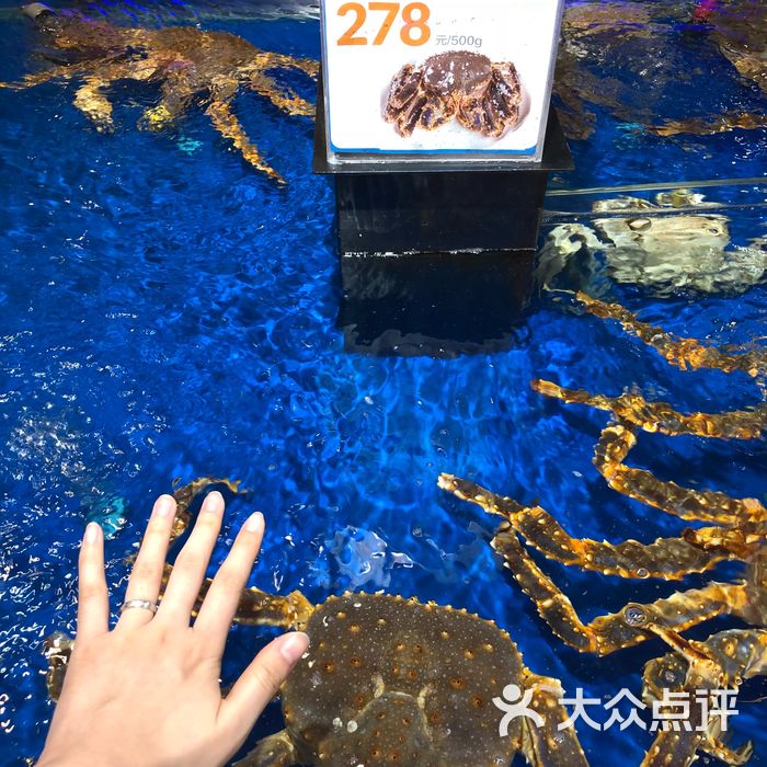 盒马鲜生帝王蟹图片-北京海鲜-大众点评网