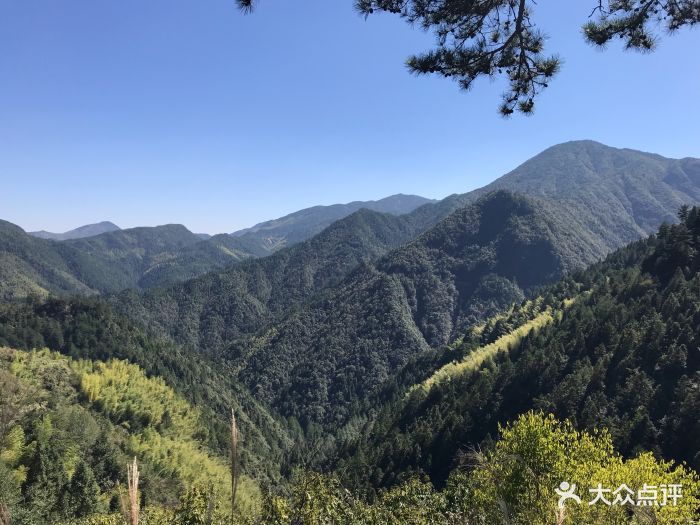 庆元百山祖图片