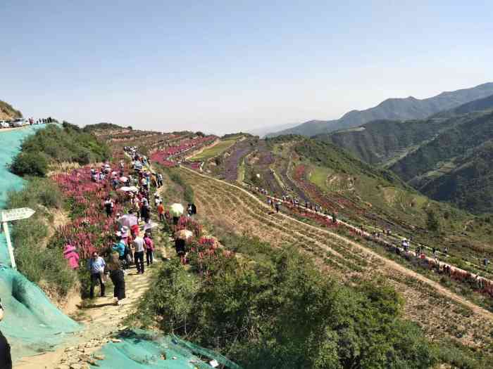 云顶山风景区-"云顶山风景区在阿干镇一带,是徒步的好