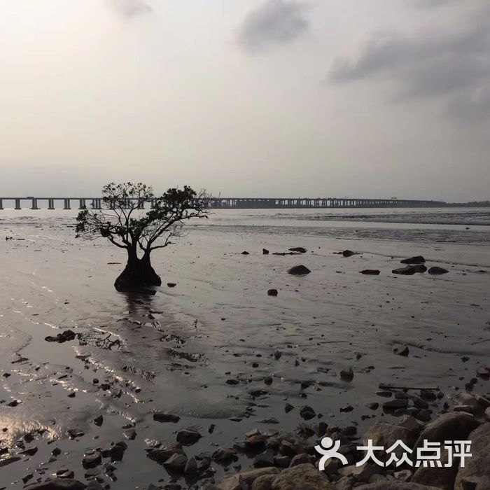 宝安西湾红树林湿地公园