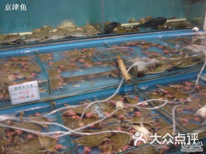 海鲜缸贴图_海鲜自助_海鲜缸(3)