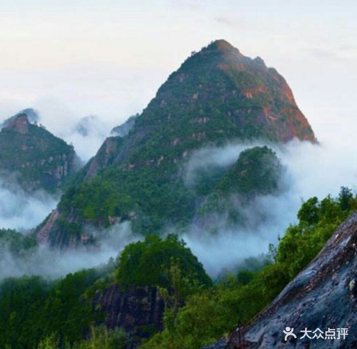 都峤山森林公园图片 - 第26张