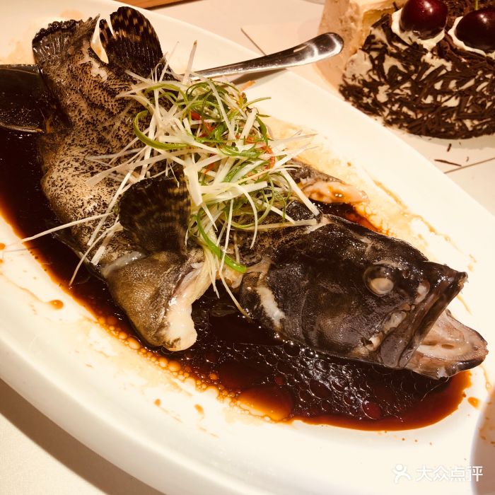 鱼乐轩-清蒸石斑鱼-菜-清蒸石斑鱼图片-哈尔滨美食