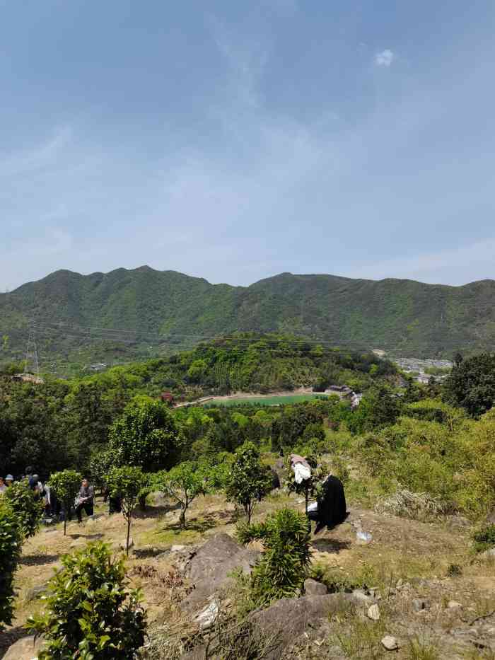 金峨村-"金峨村位于奉化市西坞街道东南部,距市中心.