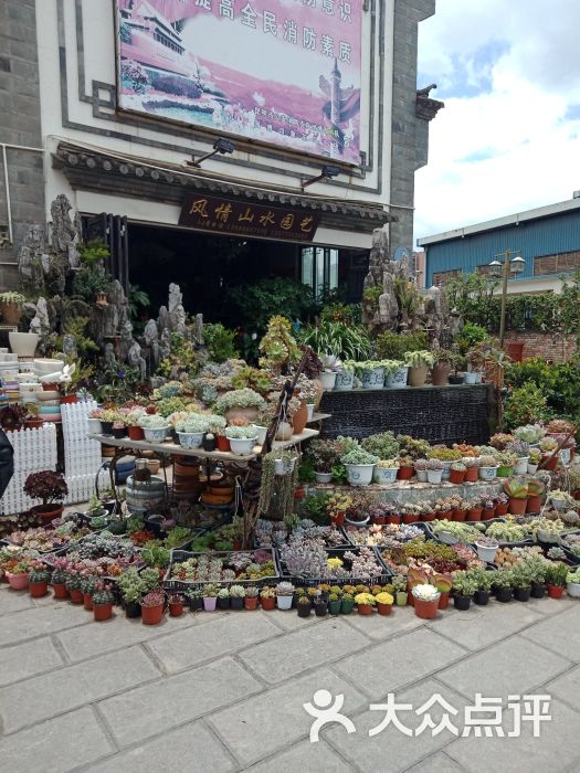 园博花鸟市场-图片-昆明宠物-大众点评网