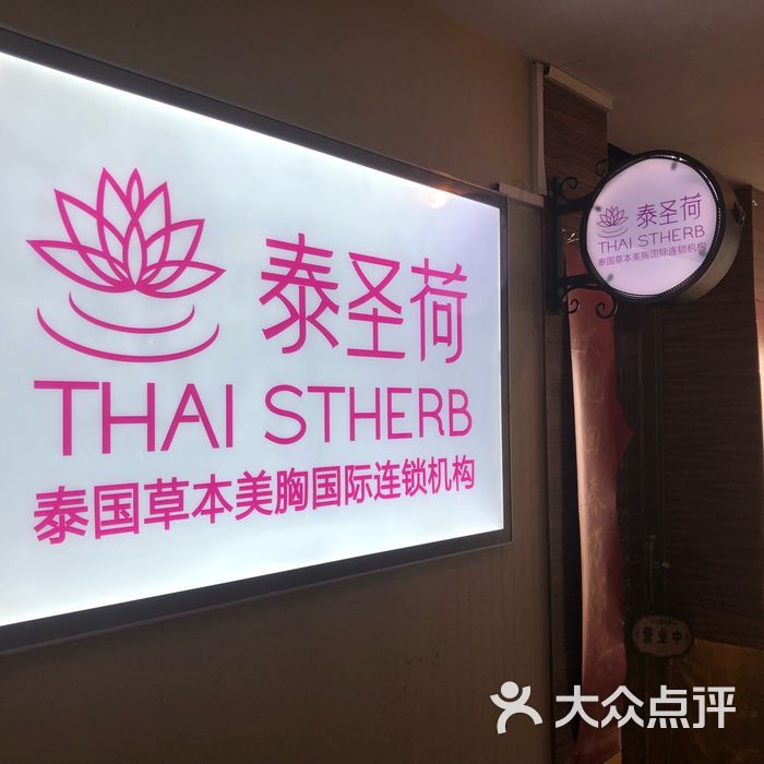 泰圣荷泰国草本美胸国际连锁机构