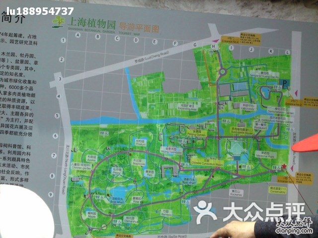 上海植物园p01-06-10_12.38图片-北京植物园-大众点评