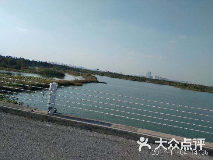 贡湖湾湿地公园太湖图片 - 第24张