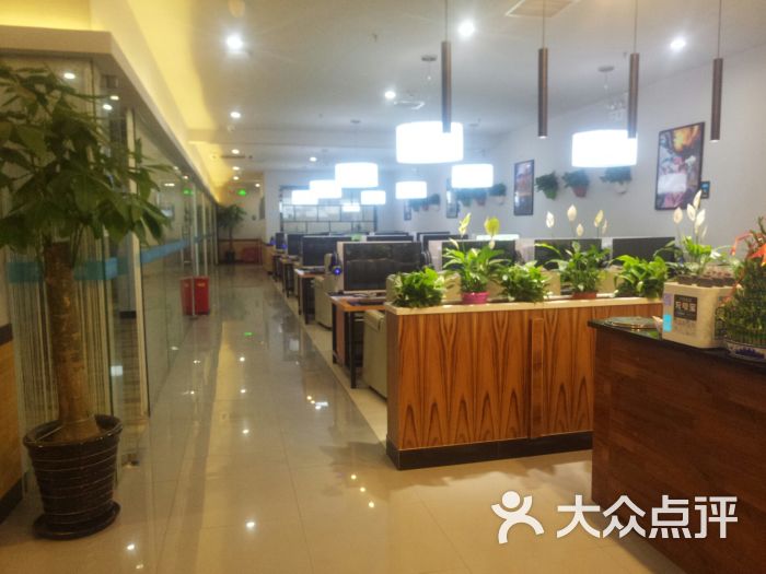 网鱼网咖:配置一流,网速超快,环境舒适,.上海休