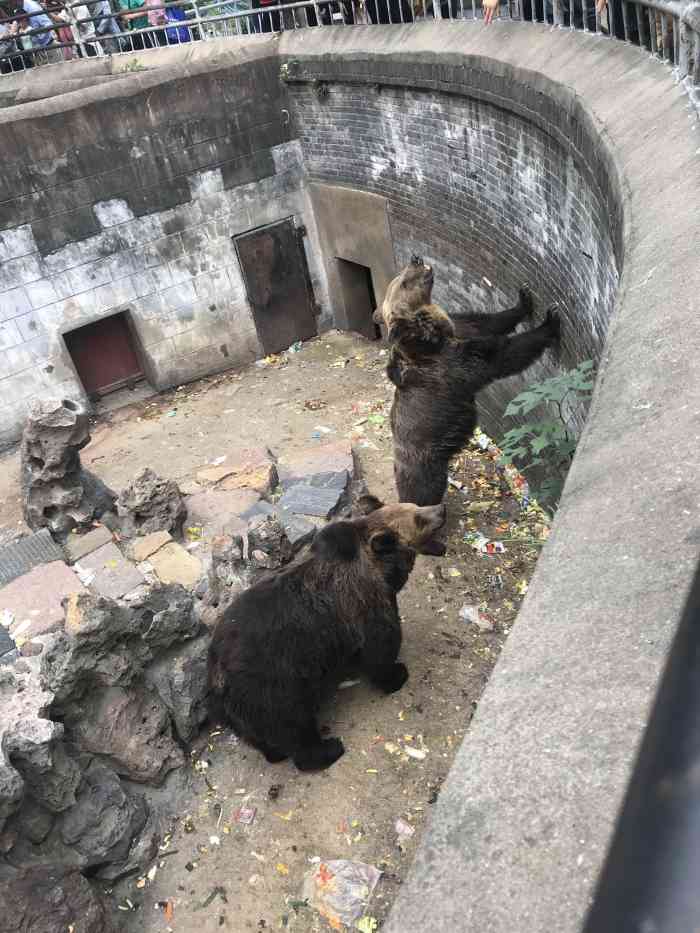 赭山动物园-"开车去安徽小川藏线逛了逛,为了让宝宝也开.